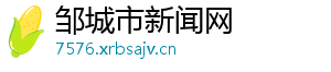 中国远征军第二部-邹城市新闻网